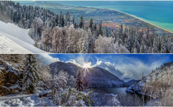 зимний отдых в Абхазии, цены