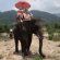 Thailand And Children ' S Rest