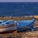 Tunisia Recreation In June