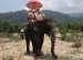 Thailand And Children ' S Rest