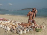 Hainan Rests Year