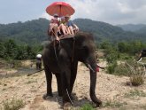 Thailand And Children ' S Rest