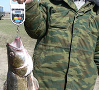 Улов на рыбалке в Астрахани в апреле
